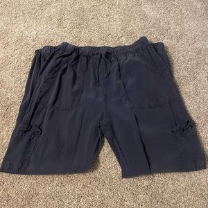 Blue cargo like pants from Thread+Supply